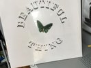 The Stone Roses Beautiful Thing Vinyl - Indie