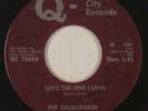Northern Soul 45 - Delacardos - She's The One I Love - Q-City - mp3