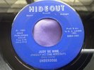 Original Detroit Garage 45 : Underdogs   The Man In The Glass   Hideout 1001