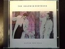 DOLPHIN BROTHERS jansen barbieri CATCH THE FALL 1st press david sylvian