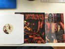 NEW SUPER RARE Pig Destroyer - Prowler in the Yard Red Vinyl