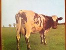 Pink Floyd - Atom heart mother - SHVL 781, 1970, LP