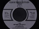 LISA WARRINGTON: I Like The Way You Do It / Don't Ask Me Why 45 rare Soul