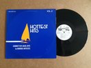 TREASURE ISLE  HOTTEST HITS  VOL .2  VINYL  LP VARIOUS ARTISTS  12 TRACKS N/MINT
