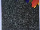 Lightning Bolt Wonderful Rainbow LP VG++/VG-