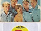 THE BEACH BOYS  Do You Wanna Dance / Let Me Wonder  original 45 with PicSleeve