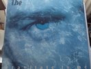 THE THE GRAVITATE TO ME 12