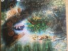 pink floyd a sauceful of secrets LP