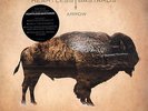 Heartless Bastards - Arrow 2x LP Vinyl DL NEW