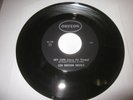 LOS ROCKIN DEVILS - HEY LUPE ( HANG ON SLOOPY )  UNA CHICA YE YE 7