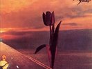 Parachute by The Pretty Things.