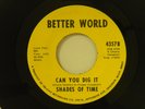 Shades Of Time 45 CAN YOU DIG IT / POVERTY   Better World M- soul