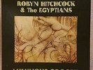 Robyn Hitchcock and the Egyptians Luminous Groove. NM Opened, never played.