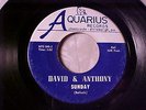 DAVID & ANTHONY RARE PENNSYVANIA 60s PSYCH SUNSHINE POP/FOLK ROCK 45 Aquarius