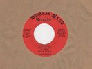 Larry McGee Revolution - The Burg / Happy Bicentennial USA - Boogie Band - North