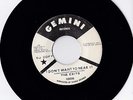 THE EXITS--I DONT WANT TO HEAR IT----GEMINI DEMO