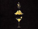 Ash & Ice (Ltd.Edt.Coloured Vinyl) [VINYL] Vinyl