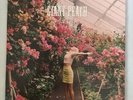RARE wolf alice giant peach vinyl