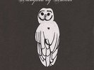 TRAMPLED BY TURTLES-PALOMINO  VINYL LP NEW