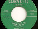JOHNNY ROSS 45 THAT'S WHAT YOU MEAN TO ME B/W MY DREAMS HAVE GONE RARE DOO WOP