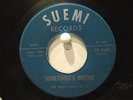 The Wild Ones  Suemi 4555  Something's Wrong b/w I Want to Be Friendly  El Paso