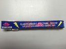 Glastonbury Festival PYRAMID Wristband 2009 UNCUT *RARE*
