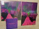 Dinosaur Jr Give a Glimpse of What Yer Not CLEAR vinyl LP w 7