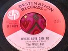 Rare Unknown Chicago Garage 45 The What Four Where Love Can Go DESTINATION HEAR