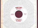 Tony Conigliaro 45 RPM Playing the Filed Why Don't They Understand Penn-Tone EM