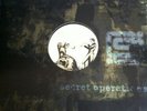 Seba  Mesmerism/physikal   Drum&bass/12