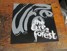 THE CURE A Forest 12