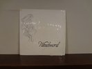 Windword - Vinyl LP - Christian Gospel Folk Rarity - Stained Corner SEE PICS