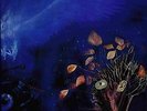 AUDIOPHILE - NAUTILUS - MOODY BLUES - THRESHOLD (RARE OUT OF PRINT)  NM