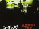 METEORS - TEENAGERS FROM OUTER SPACE NEW VINYL