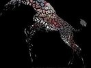 GIRAFFES - USURY NEW VINYL