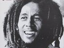 Bob Marley & The Wailers - Kaya Vinyl LP NEU 0650107