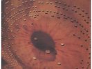 CATHERINE WHEEL (SHOEGAZING GROUP) Ferment LP VINYL 11 Track Black/Silver Label