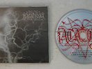 katatonia 