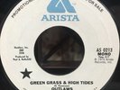 RARE - The Outlaws - Green Grass & High Tides Arista WLP PROMO 45