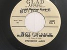 Pinnochio James - Mama Don't Love Me No More * Glad R&B Soul 45 Promo Rare