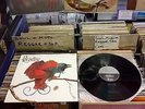 UK EBONY RECORDS EB 701 A1 / B1  Paradise SAME, S/T EXCELLENT SUPER GRADE / RARE
