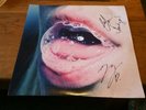 Get Sharp by The Limousines Signed Autographed By Band Vinyl, Dangerbird Records