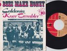 BEES MAKE HONEY * 1973 UK PUB ROCK * French 45 * Listen