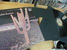 INDIAN SUMMER - INDIAN SUMMER, UK NEON LP 1971 PROG. HAMMER