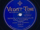 CALIFORNIA RAMBLERS, Rollin' Down the River & Wah Wah Girl, Velvet Tone 2183,'30