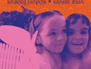 The Smashing Pumpkins Siamese Dream New Vinyl LP