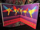 1968 Orig STEVE MILLER BAND   1st LP   ACID BLUES PSYCH PSYCHEDELIC MUSHROOM GEM
