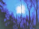 Flying Saucer Attack-Further  VINYL NUEVO