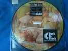 Genesis - Selling England By The Pound LP Picture Disc Europe 2013 VG/EX