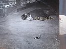 NAKED CITY John Zorn Bill Frisell Fred Frith Wayne Horowitz Knitting Factory